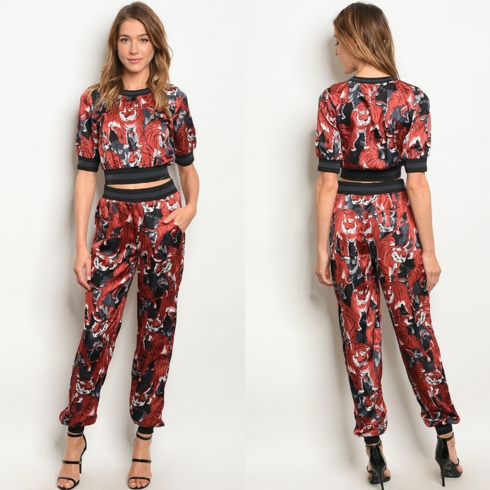 Banjul Earth Tiger Print Top & Pants Set - Picture 2 of 4